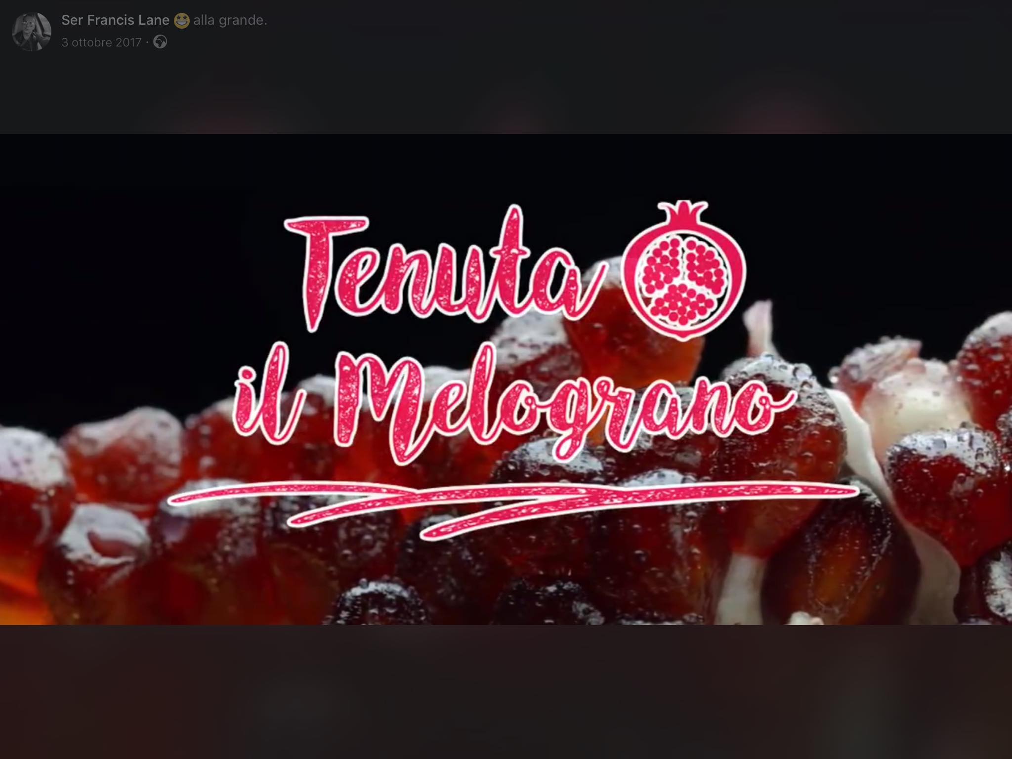 SOCIETA' AGRICOLA IL MELOGRANO SOCIETA' SEMPLICE — foto 6