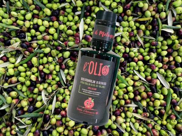 olio e olive