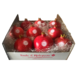 Melograni biologici di produzione italiana